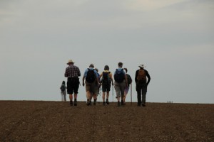 harvested field pilgrims